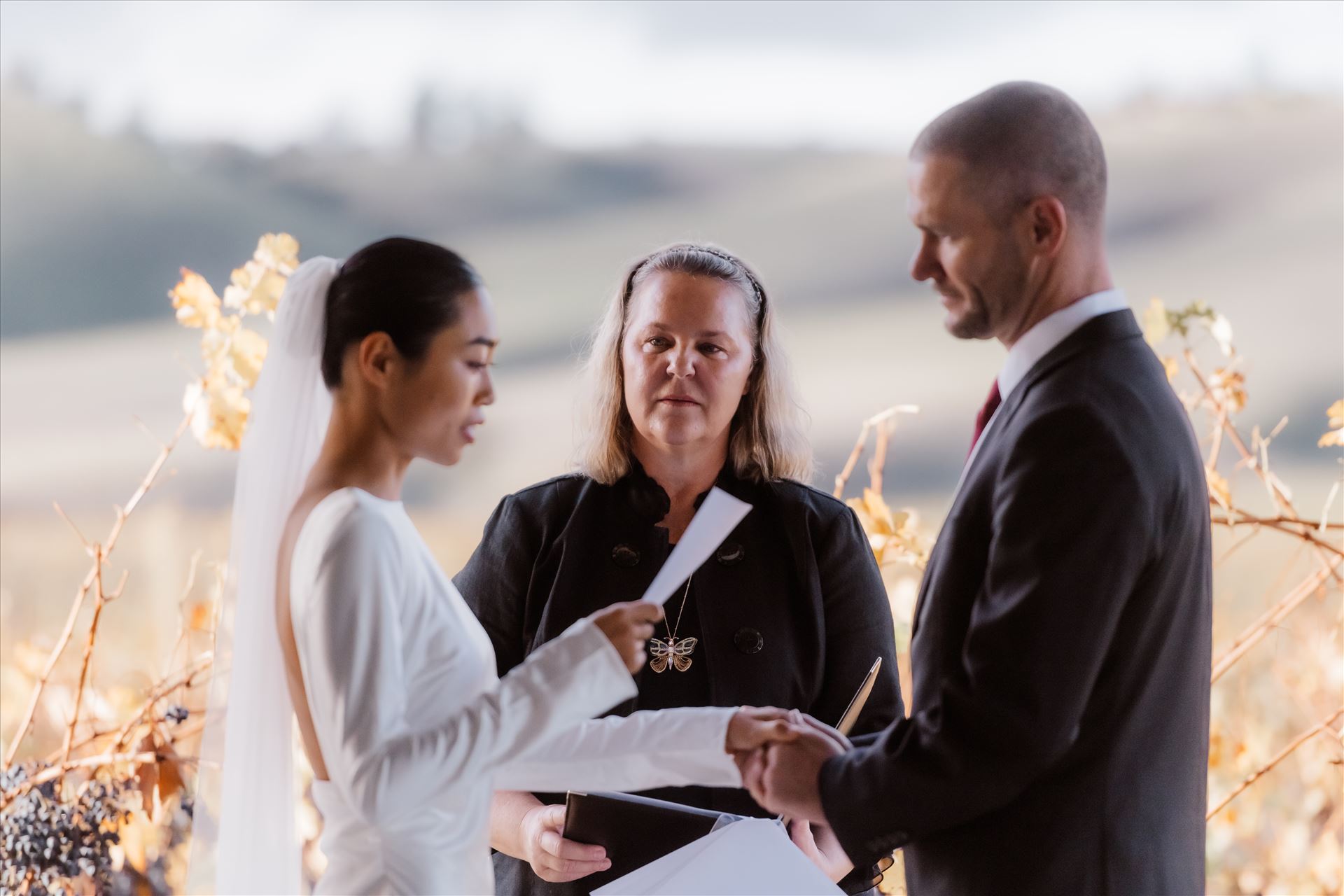 Final-2510.jpg  by Sarah Williams