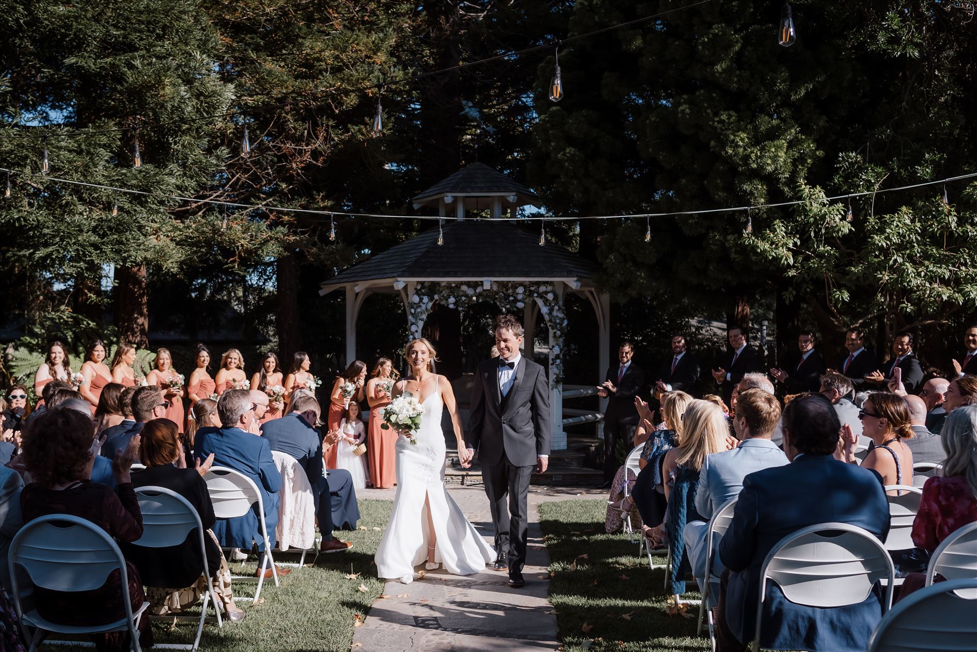 Final-8216.jpg  by Sarah Williams