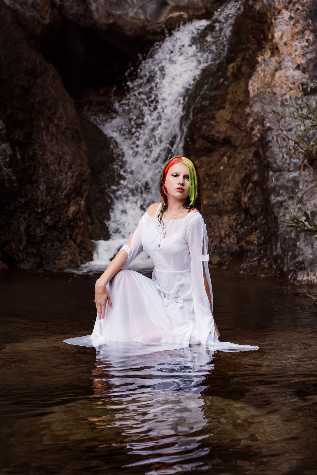 Final--4.jpg  by Sarah Williams