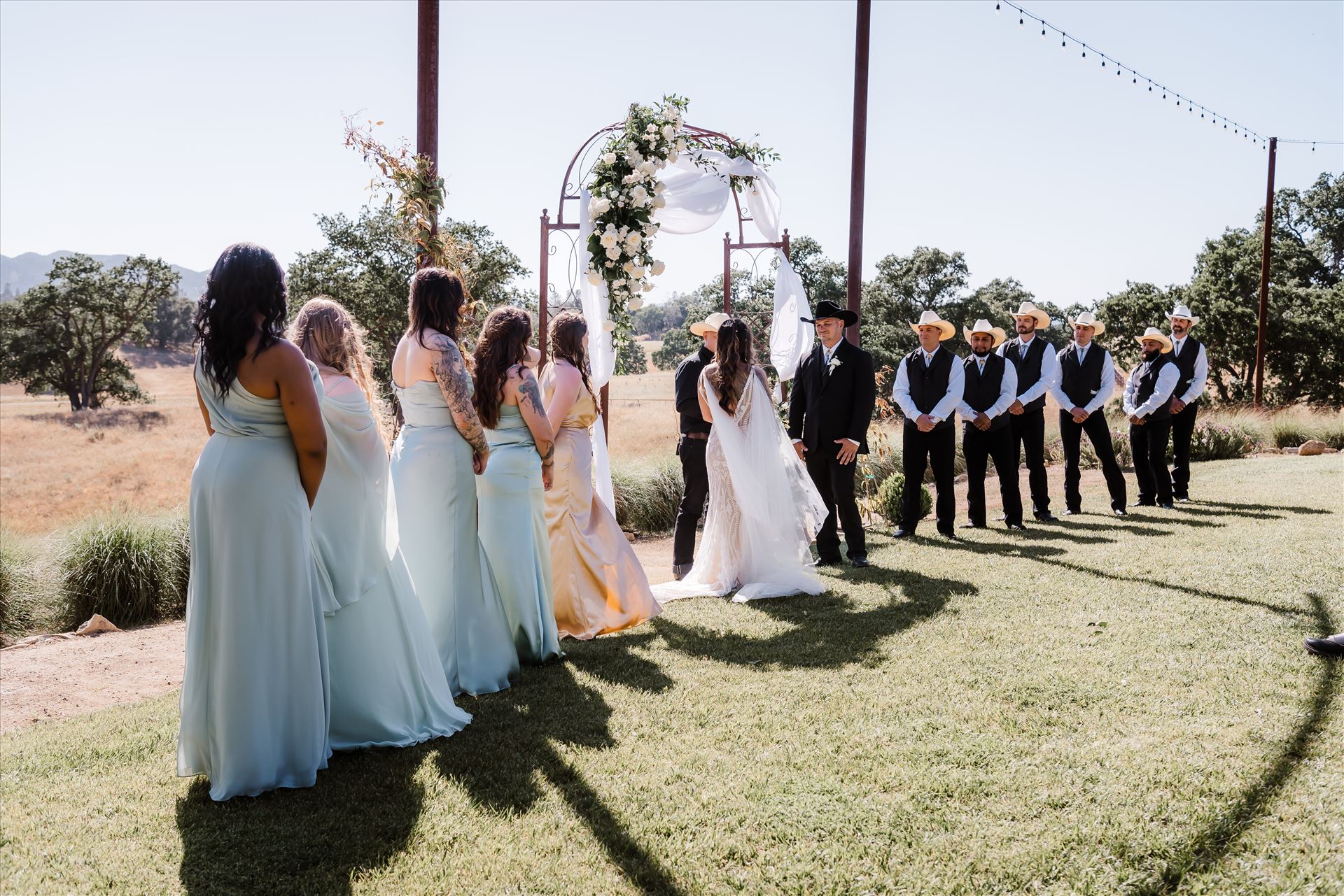 Final-1162.jpg  by Sarah Williams