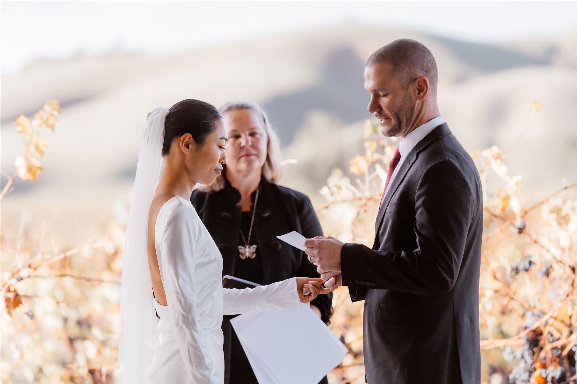 Final-2472.jpg  by Sarah Williams