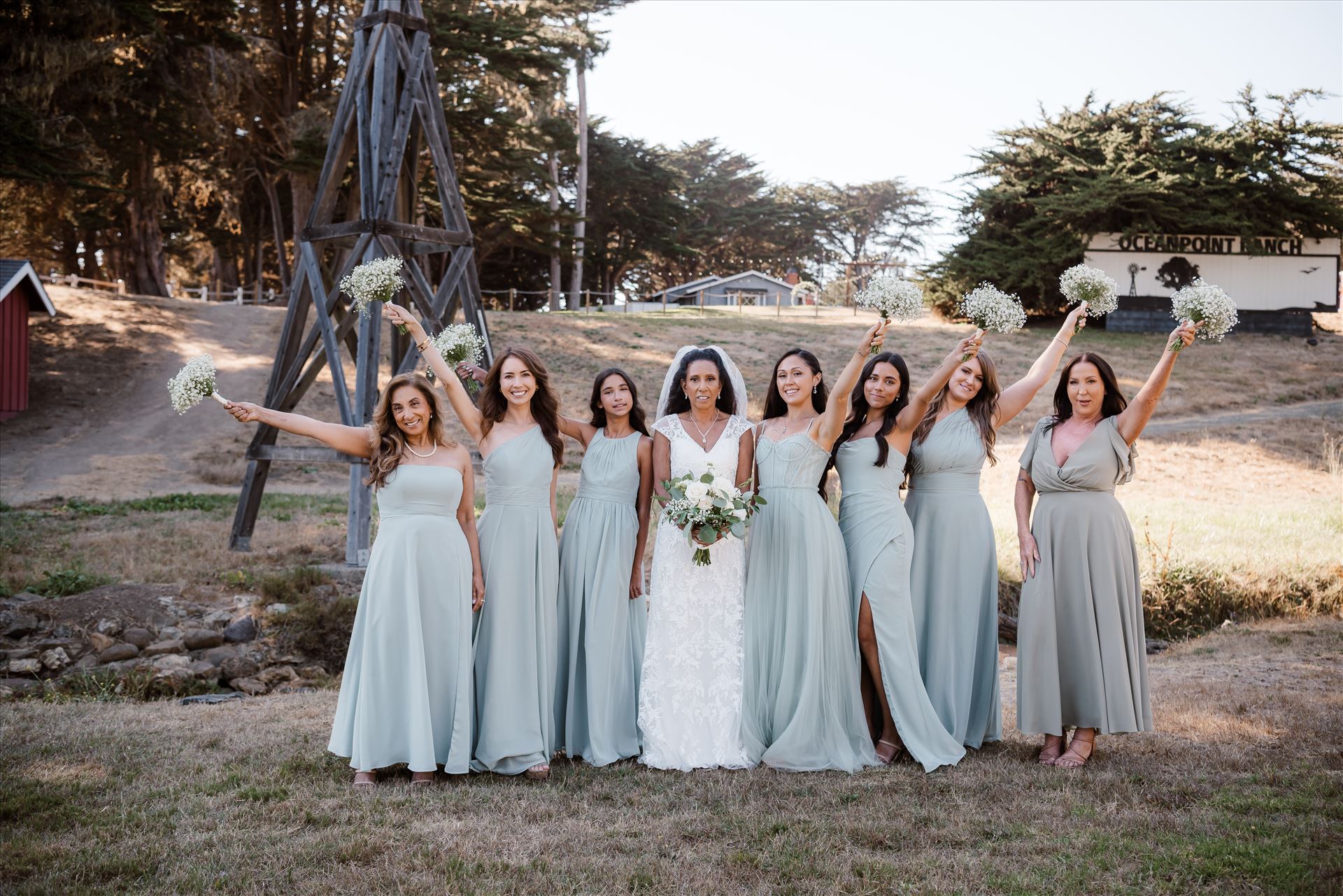 Final-.jpg  by Sarah Williams