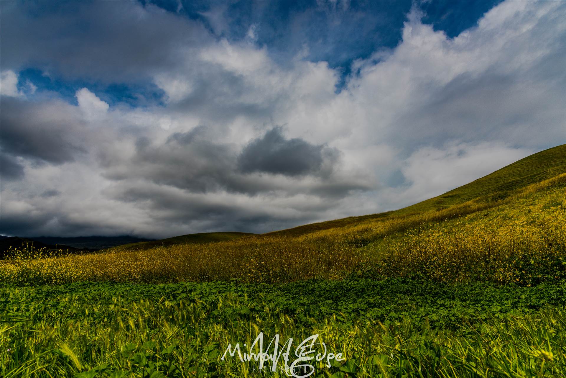 Stormy Skies Rolling Hills (1 of 1).jpg undefined by Sarah Williams