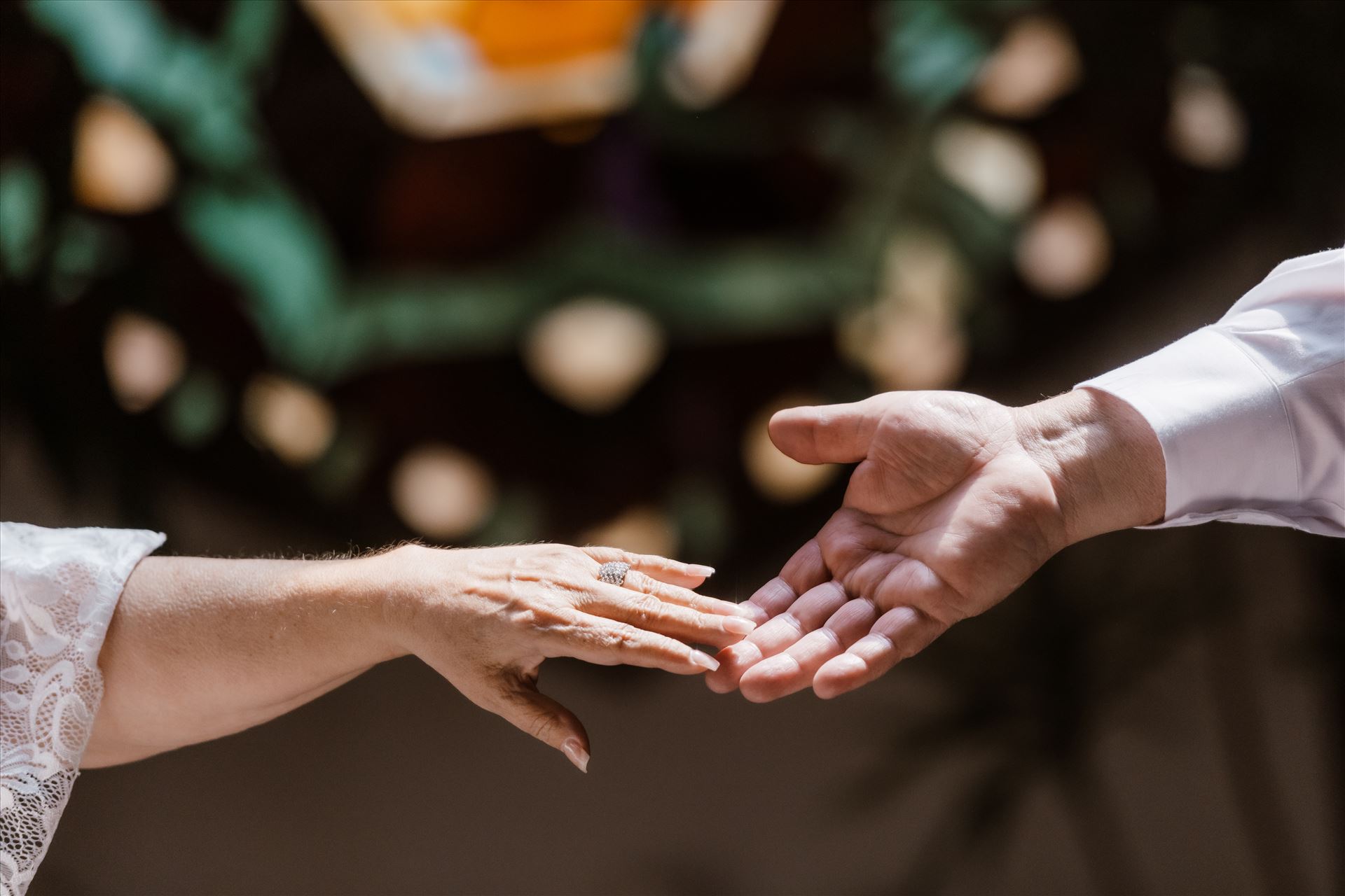 Final-8702.jpg  by Sarah Williams