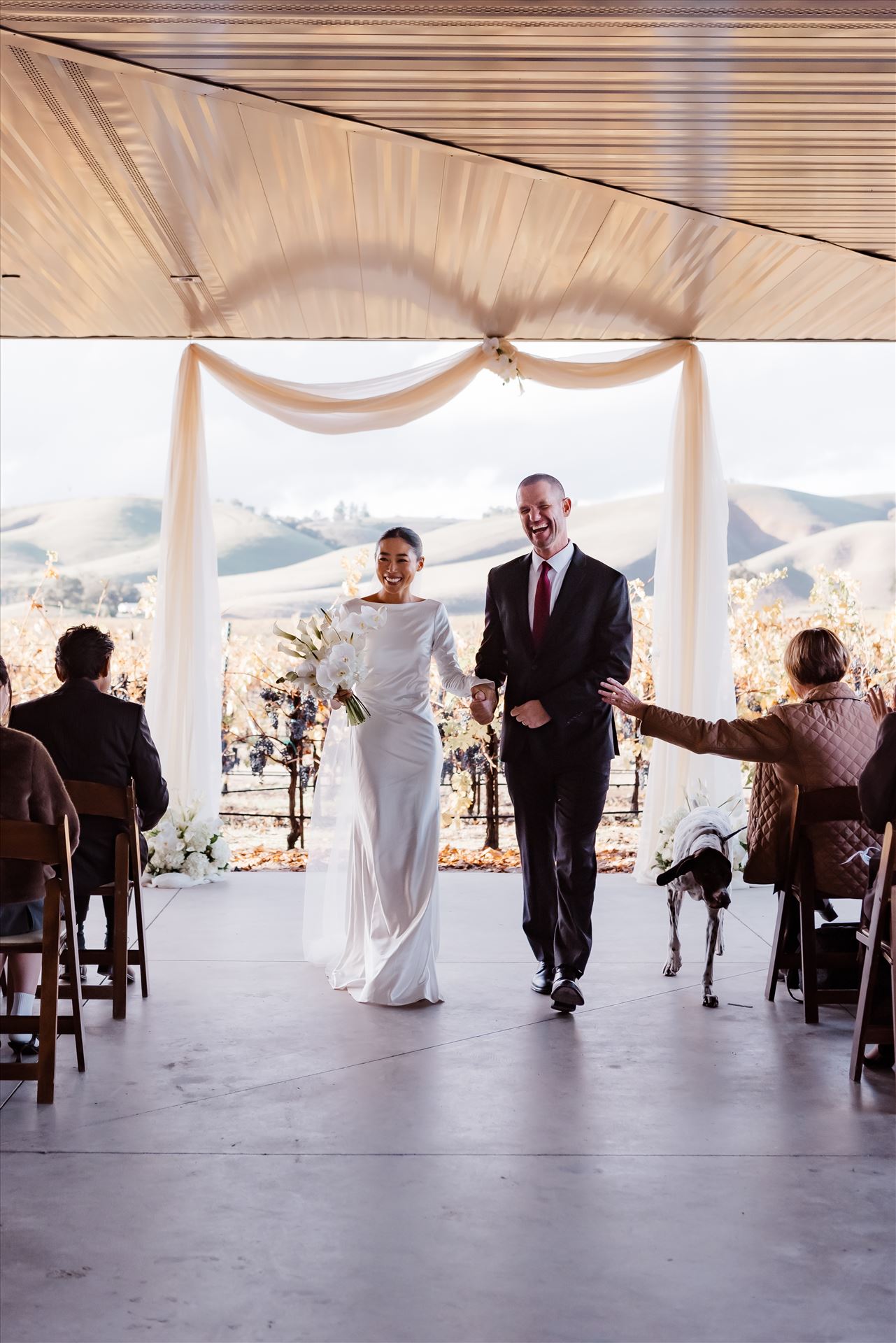 Final-9164.jpg  by Sarah Williams