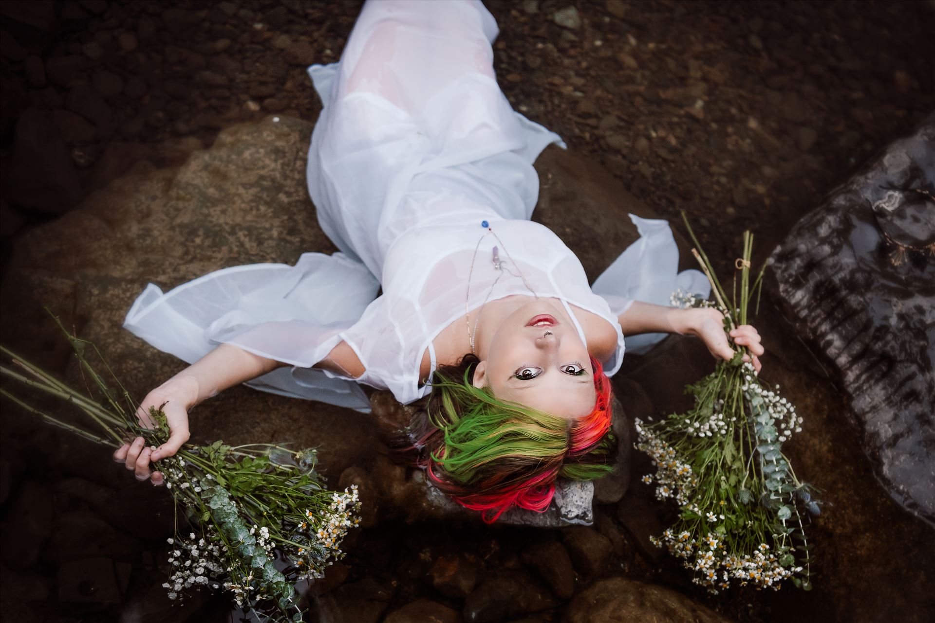 Final--7.jpg  by Sarah Williams