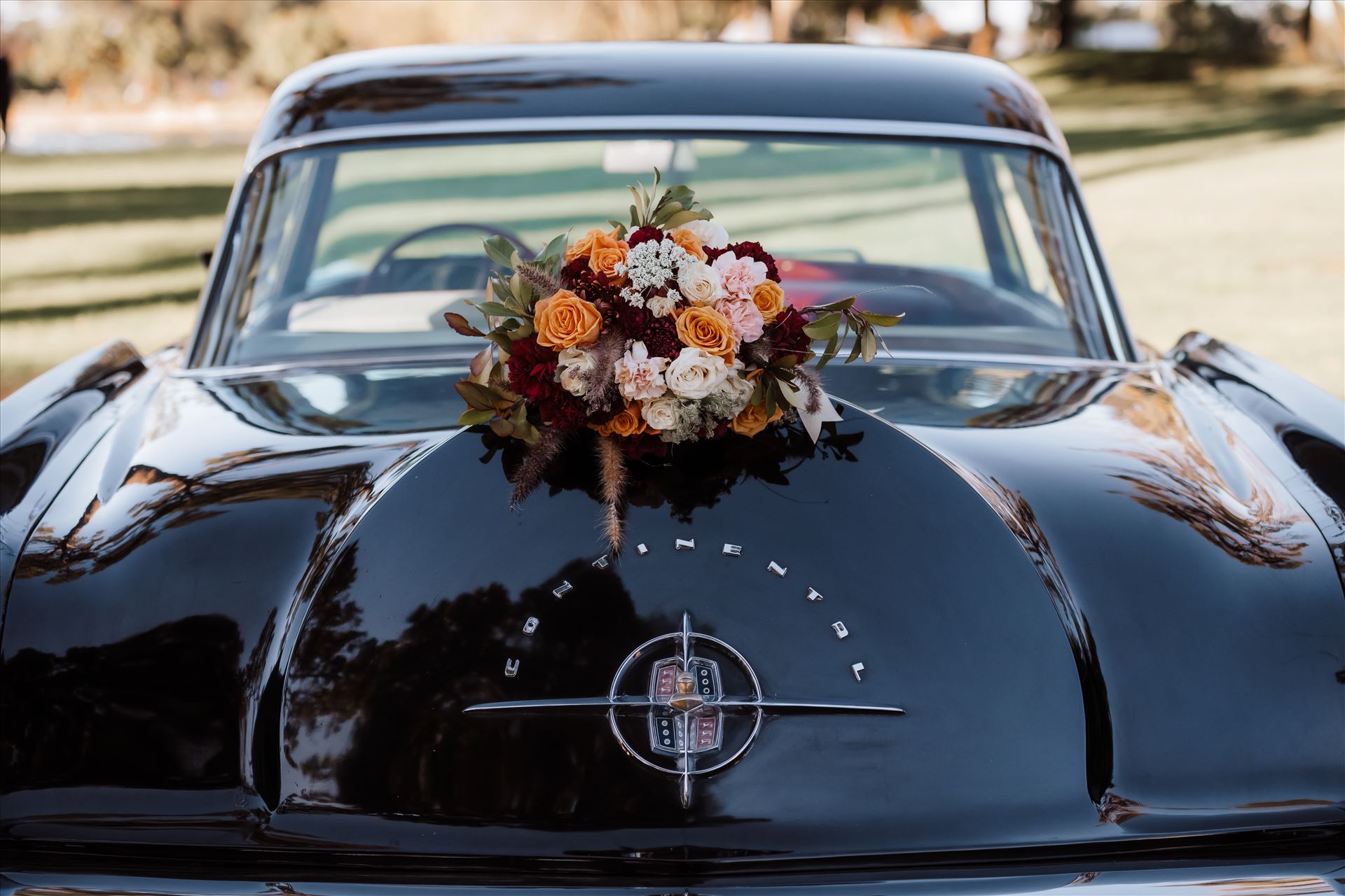 BG Final-2019.jpg  by Sarah Williams