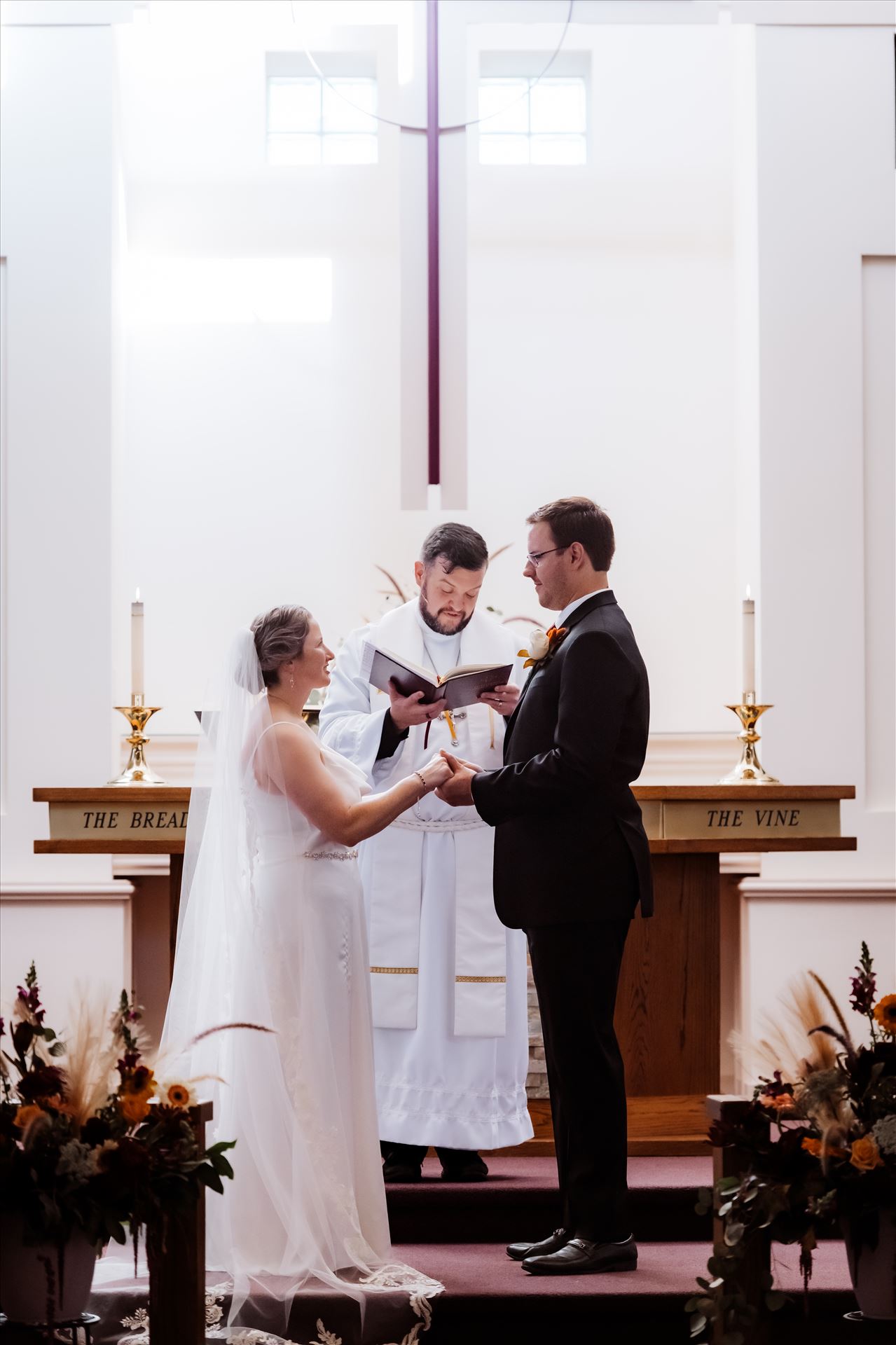 Final-1550.jpg  by Sarah Williams