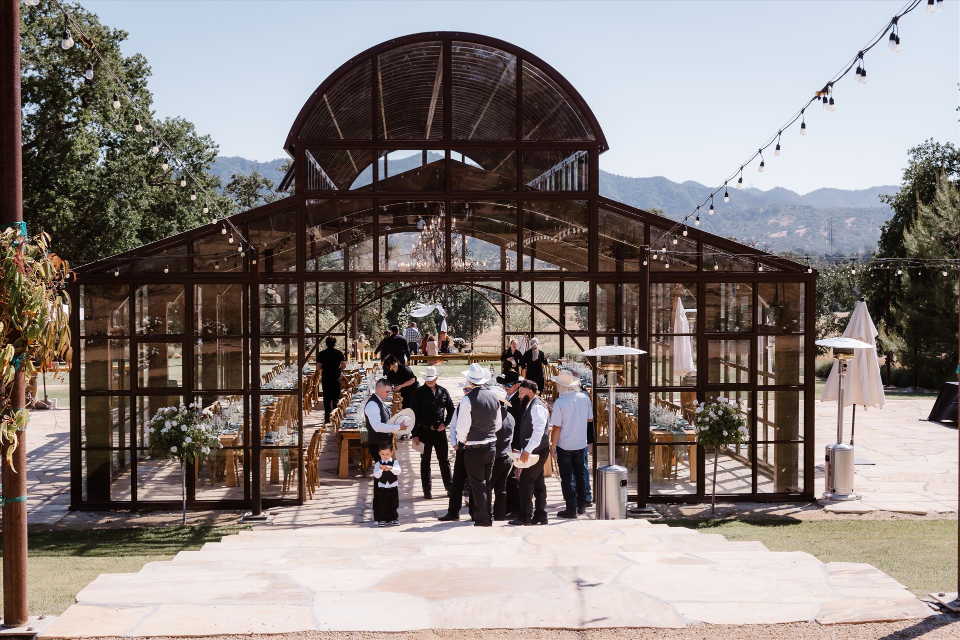 Final-1147.jpg  by Sarah Williams