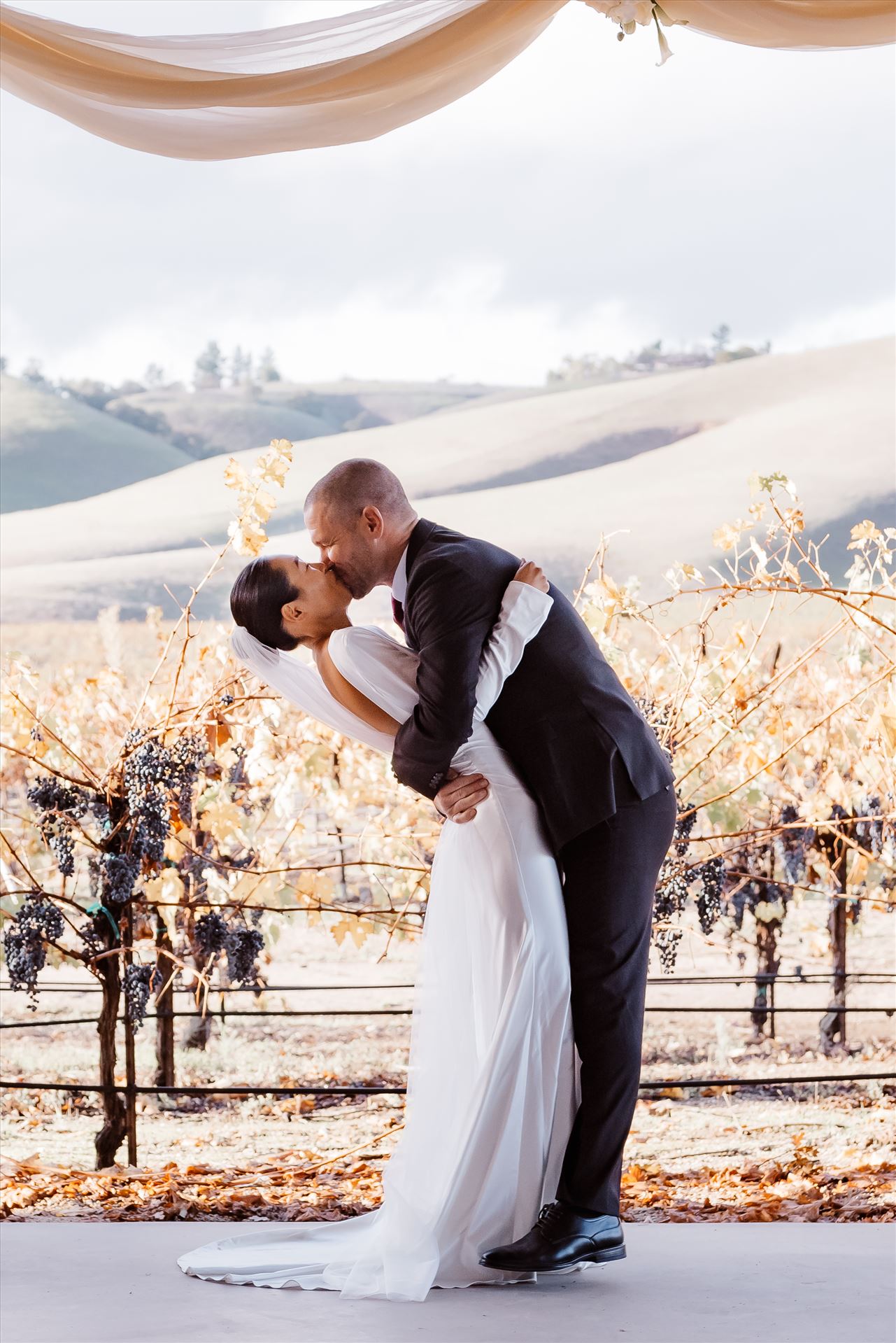 Final-9143.jpg  by Sarah Williams