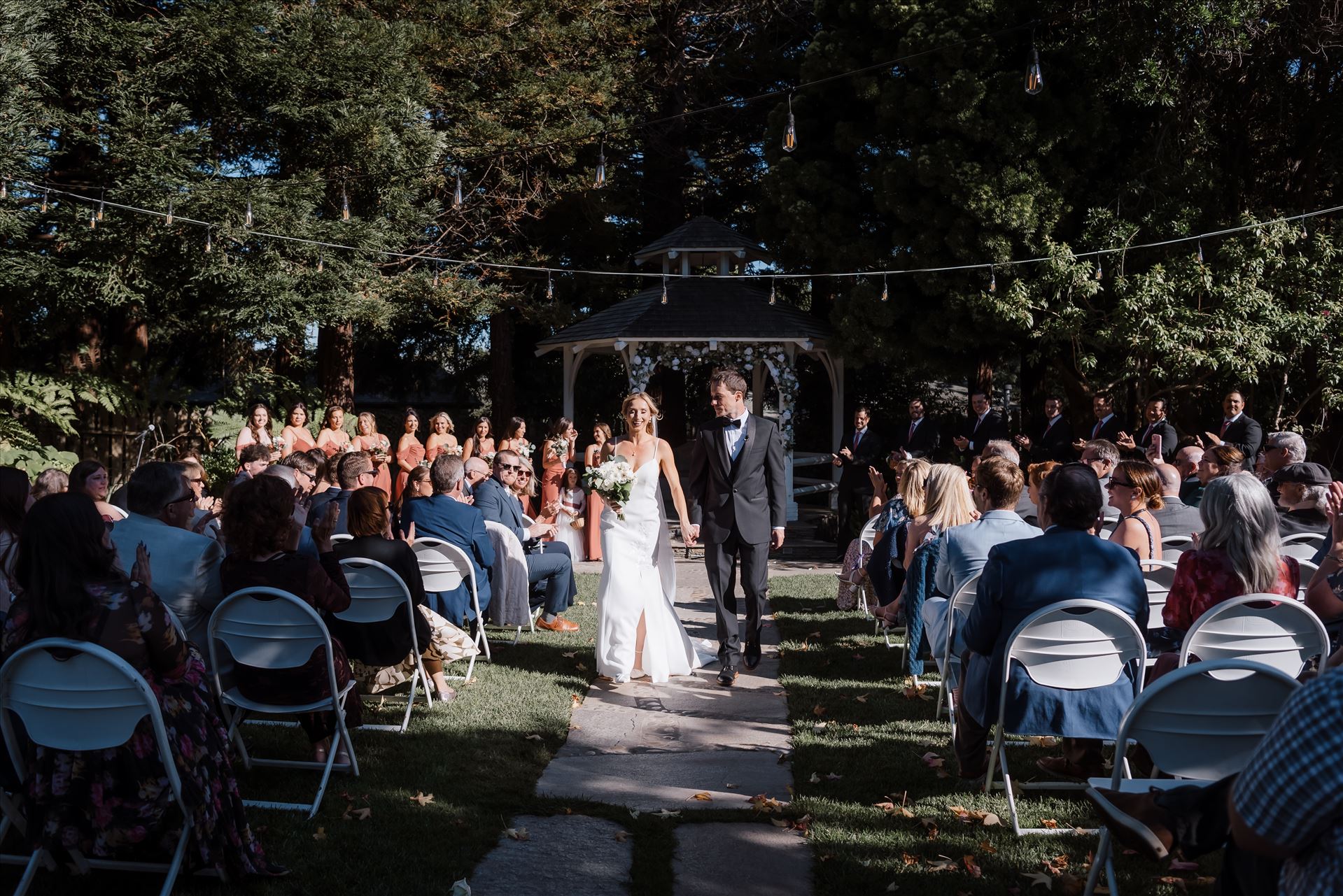 Final-8219.jpg  by Sarah Williams