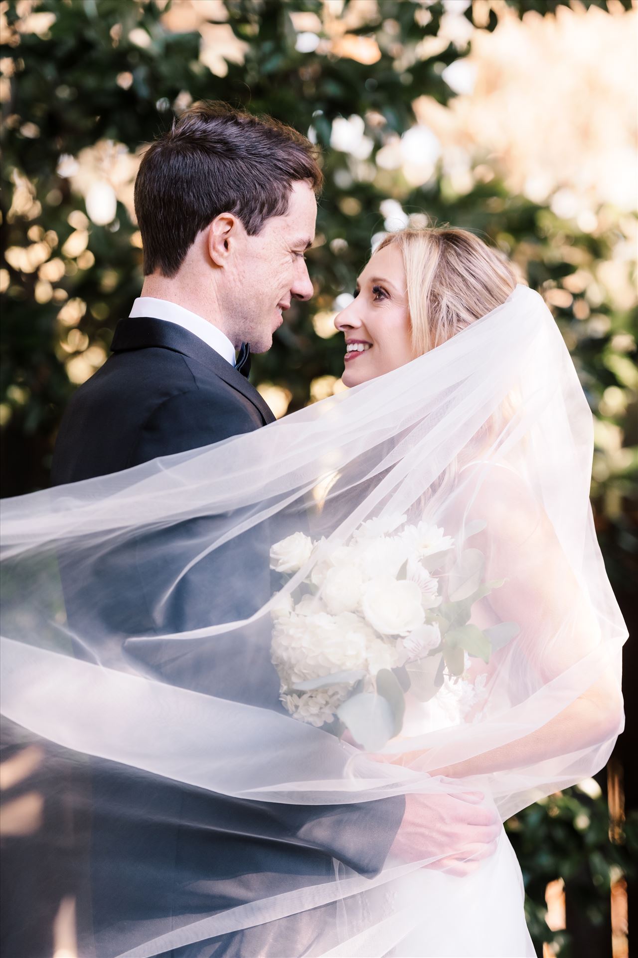 Final BG--29.jpg  by Sarah Williams