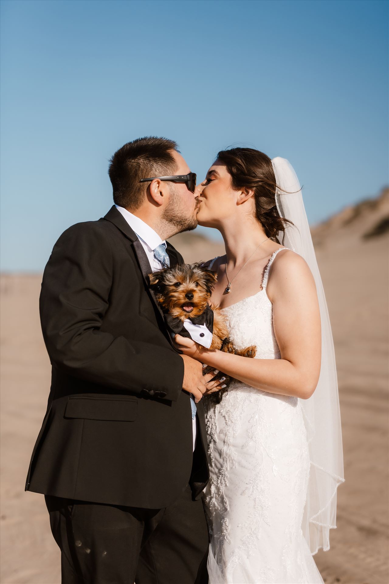 Final-4623.jpg  by Sarah Williams