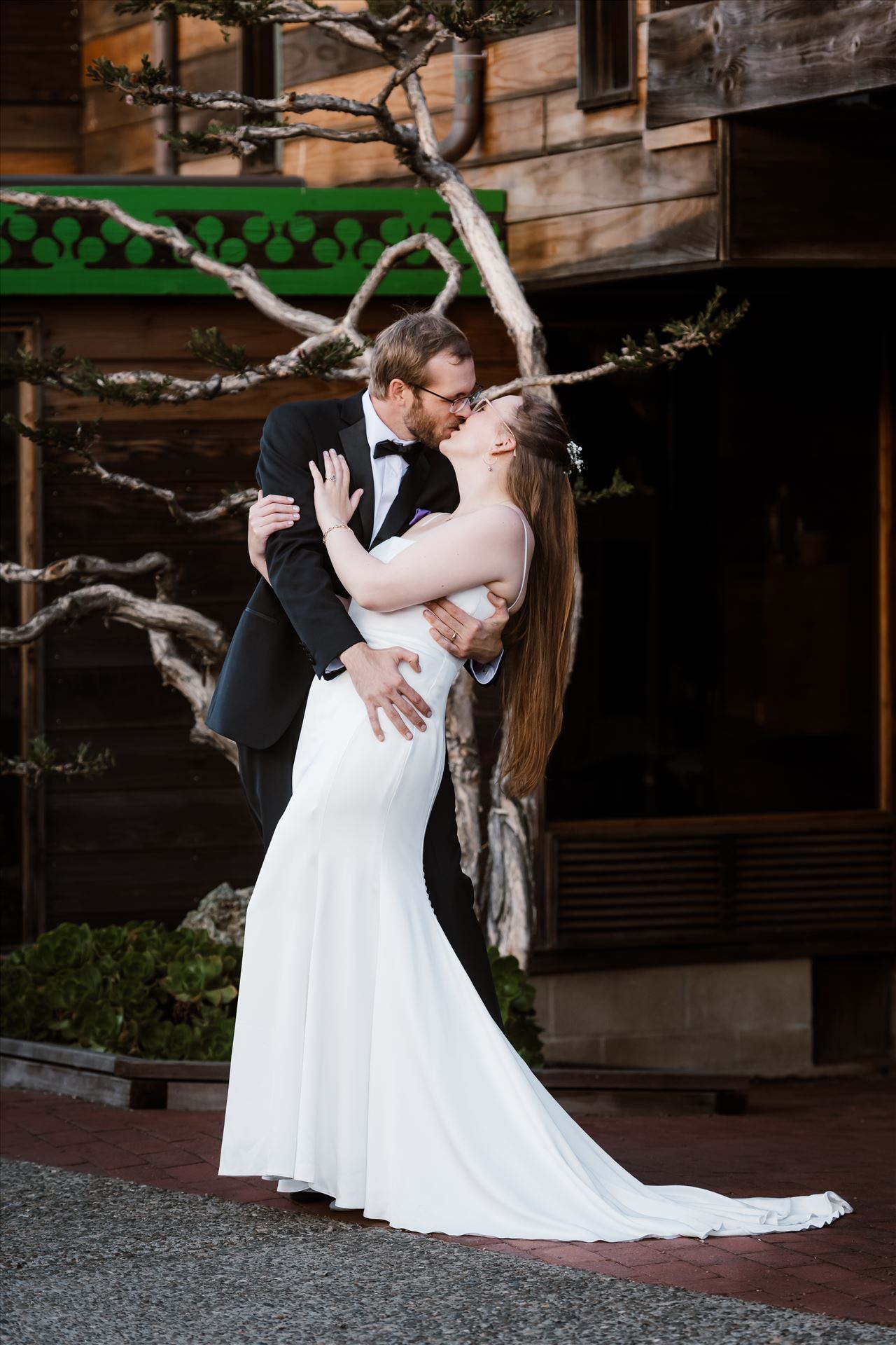 Final-9513.jpg  by Sarah Williams