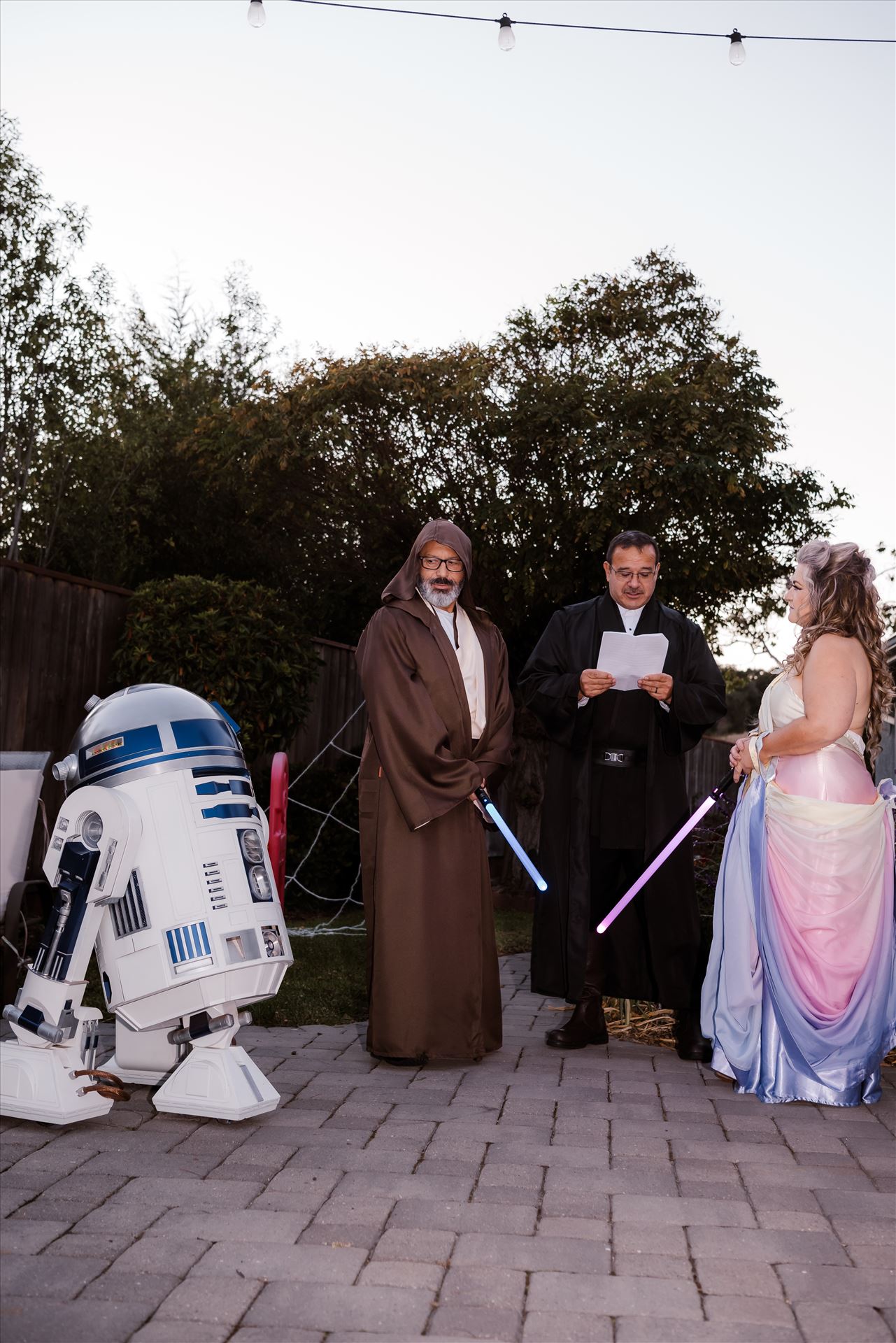 Final-7326.jpg  by Sarah Williams