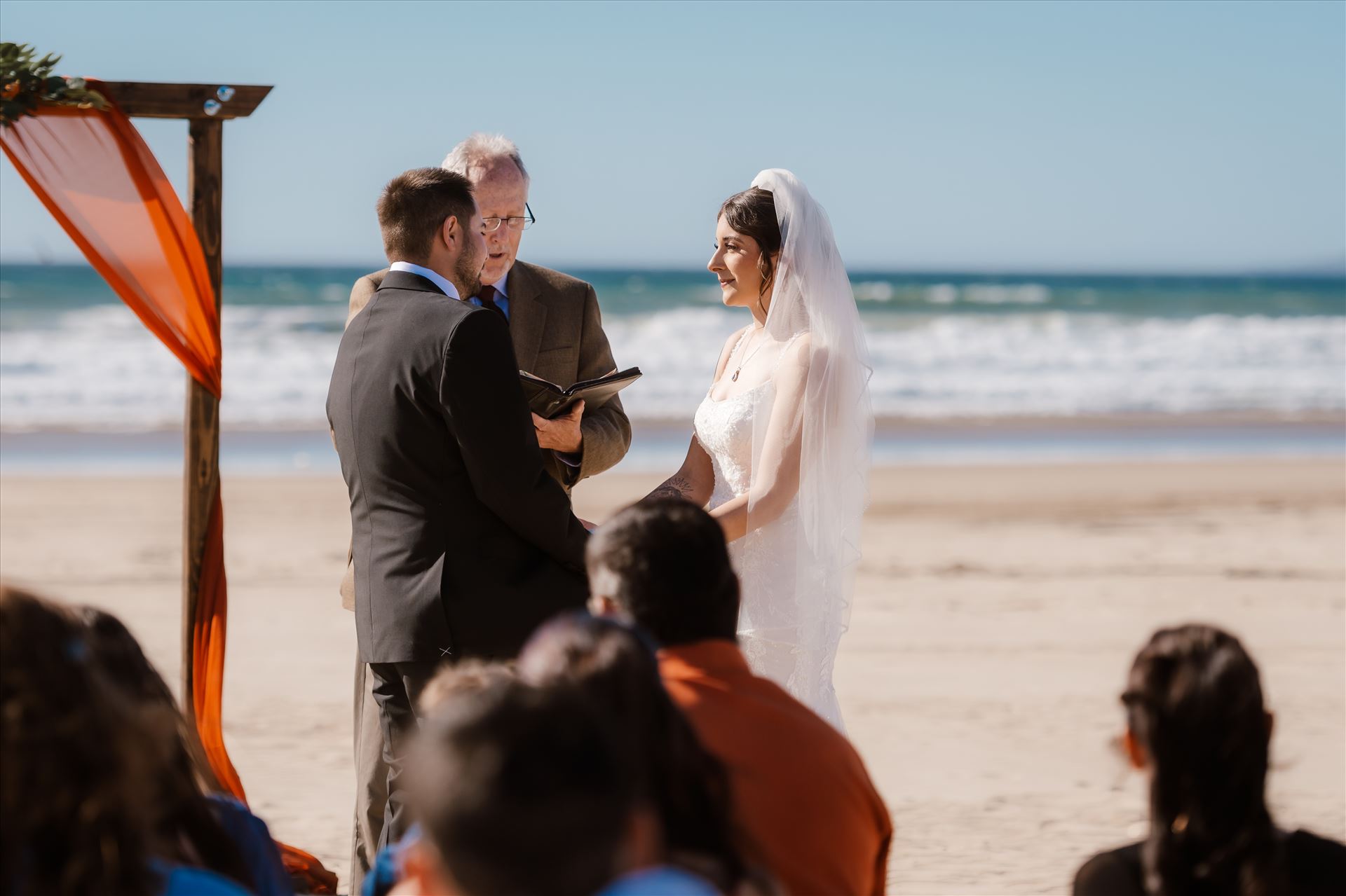 Final-4172.jpg  by Sarah Williams