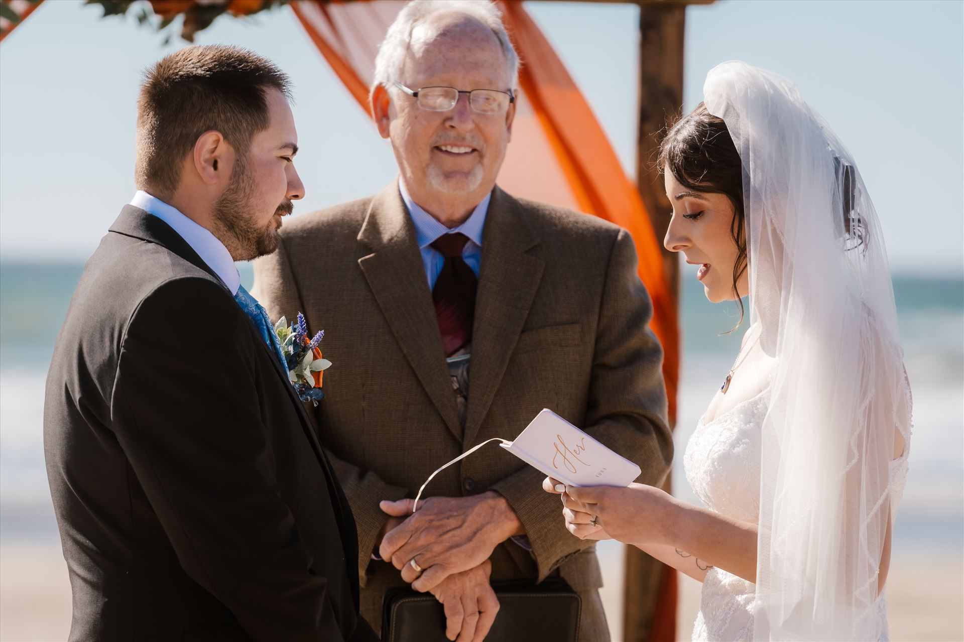 Final-4239.jpg  by Sarah Williams