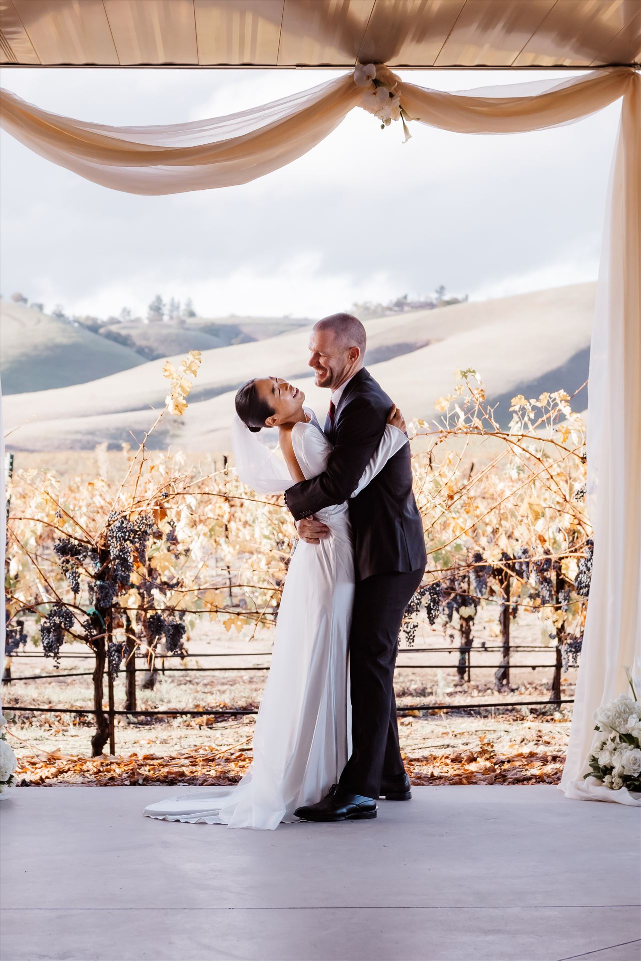 Final-9144.jpg  by Sarah Williams