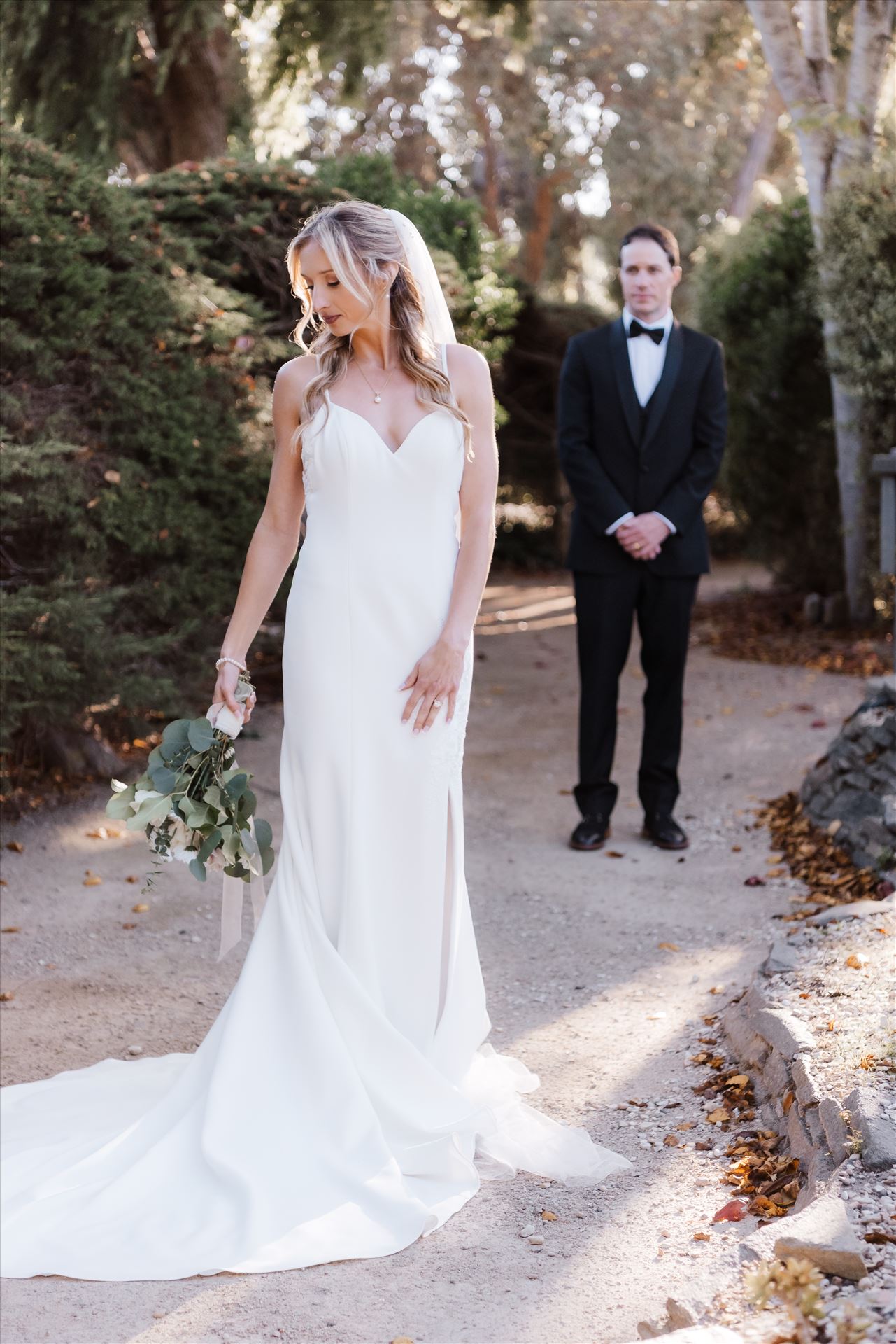 Final BG-8466.jpg  by Sarah Williams