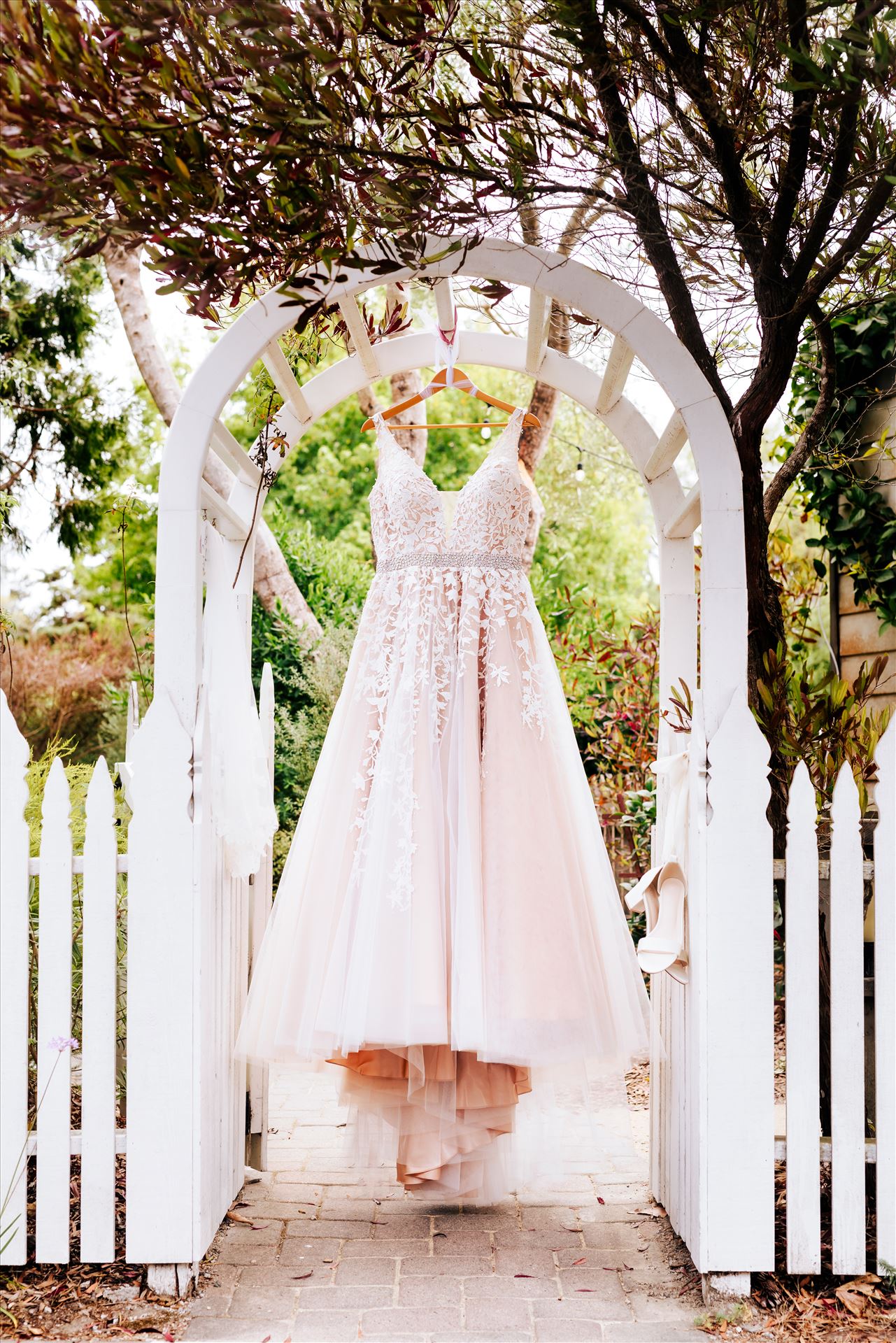 WF--165.JPG  by Sarah Williams