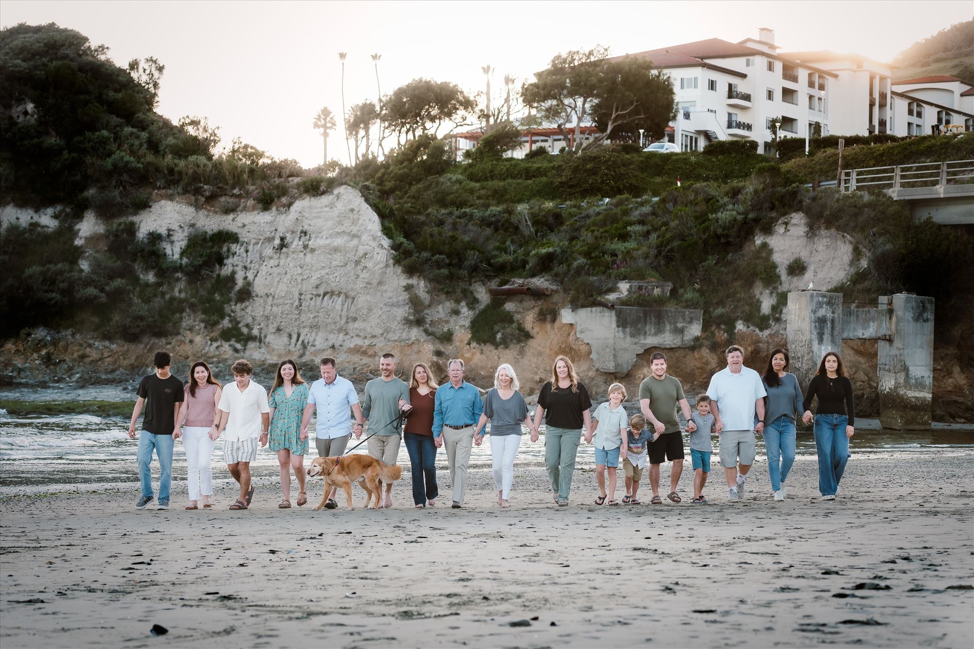 Final--10.jpg  by Sarah Williams