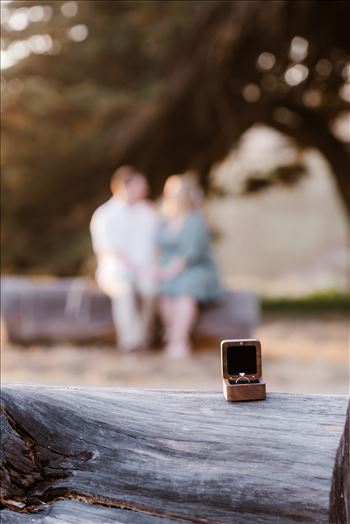 Engagement-2123.jpg by Sarah Williams