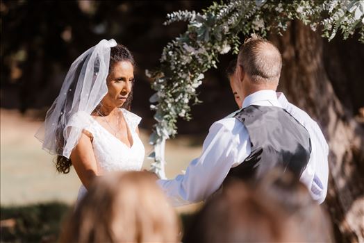 Final-5109.jpg by Sarah Williams