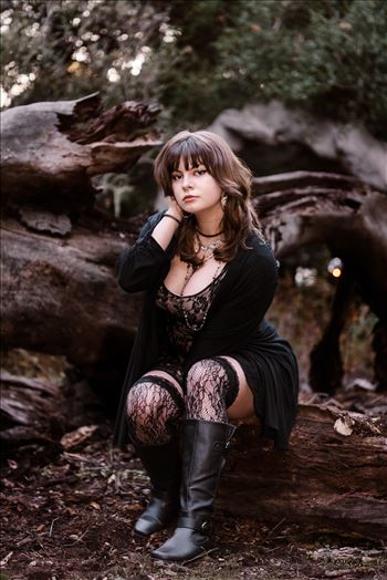 Final Night Shots--4.jpg by Sarah Williams