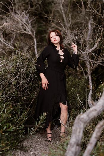 Final 1--14.jpg by Sarah Williams