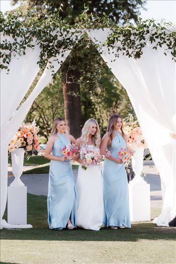 Final-6570.jpg by Sarah Williams