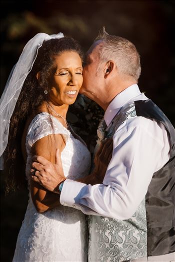 BG Final--2.jpg by Sarah Williams