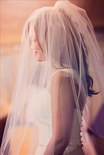 Beautiful Bride San Luis Obispo by Sarah Williams