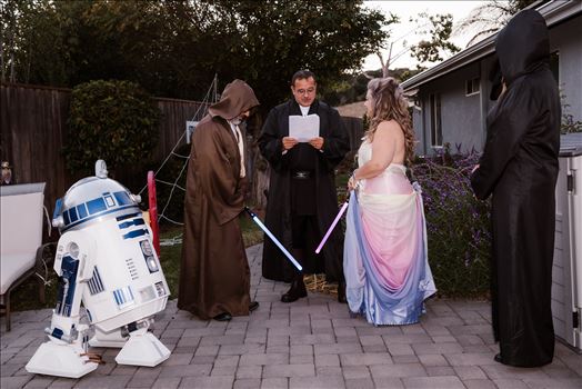 Final-7316.jpg by Sarah Williams