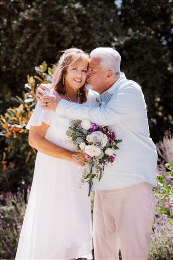 Bride and Groom-4027.jpg by Sarah Williams