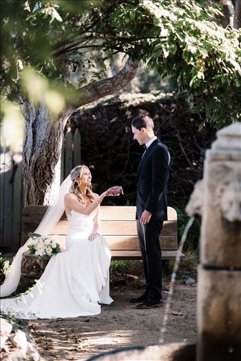 Sarah Williams of Mirror's Edge Photography, a San Luis Obispo County Wedding and Engagement Photographer, captures Grant and Ashley's intimate wedding at the Cambria Pines Lodge in Cambria California.
