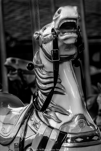 Carousel Horse BW.jpg by Sarah Williams