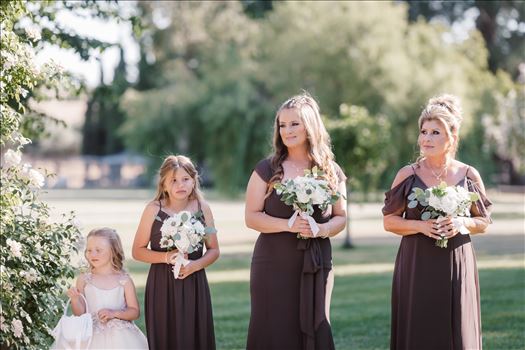 Final-0988.jpg by Sarah Williams