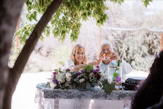 Reception-4881.jpg by Sarah Williams