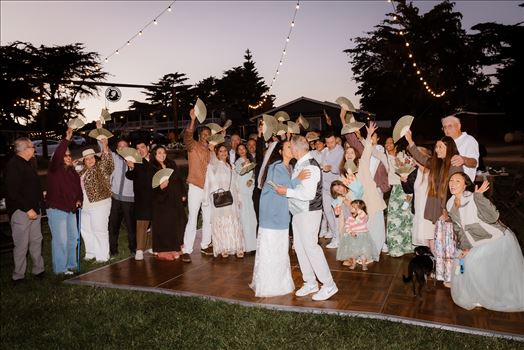 Final-6990.jpg by Sarah Williams