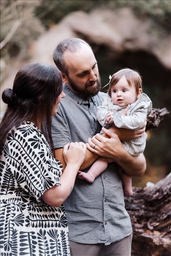 Final-0700.jpg by Sarah Williams