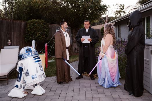 Final-7304.jpg by Sarah Williams