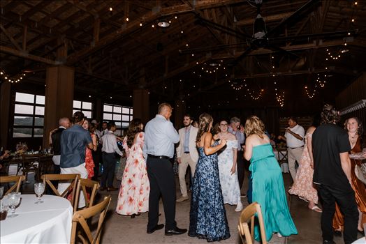 Reception-8181.jpg by Sarah Williams