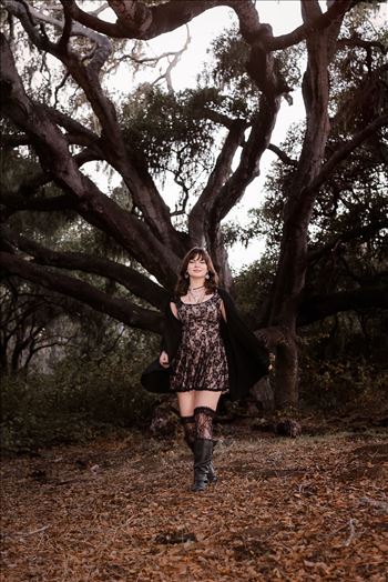 Final Night Shots-.jpg by Sarah Williams