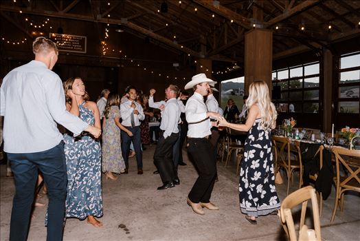 Reception-8188.jpg by Sarah Williams