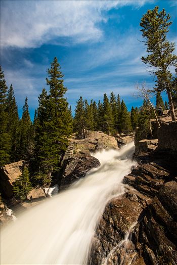 Alberta Falls FP (1 of 1).JPG by Sarah Williams