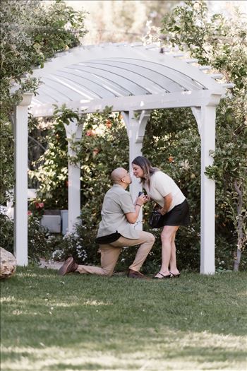 Final-5171.jpg by Sarah Williams