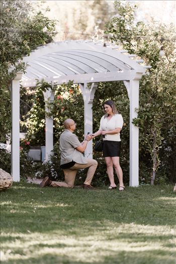 Final-5166.jpg by Sarah Williams