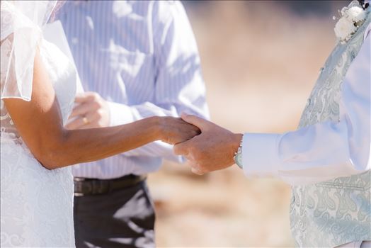 Final-5132.jpg by Sarah Williams