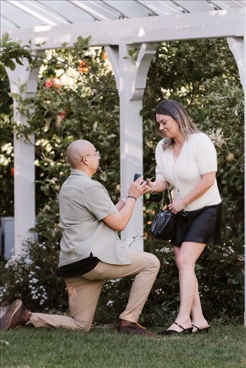 Final-5174.jpg by Sarah Williams