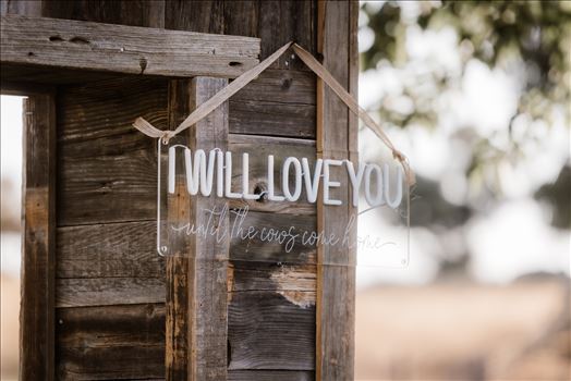 Final-1136.jpg by Sarah Williams